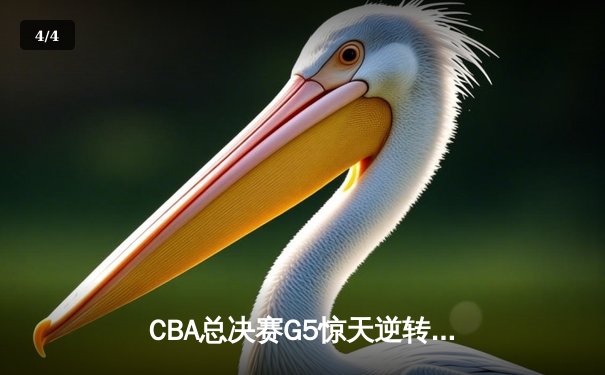CBA总决赛G5惊天逆转！辽宁本钢加时险胜浙江广厦夺队史第三冠 - 4